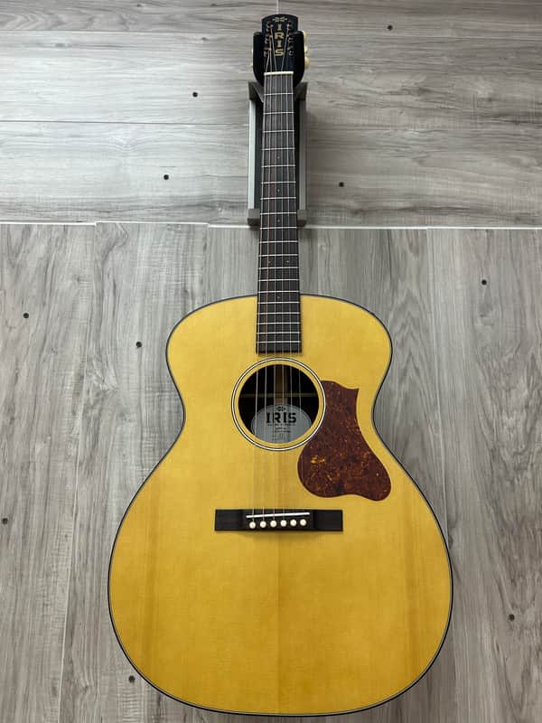 Iris Guitar Company JB 2023 - Stain image 1