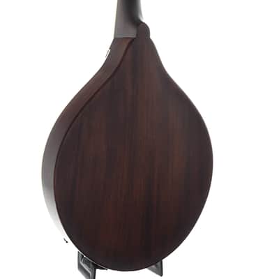 Weber Bitterroot A20-O Octave Mandolin image 10