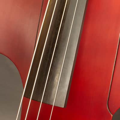 Maurice Dupont Volante Bass 2011 image 4