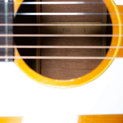 Gibson F-25 1965 image 19