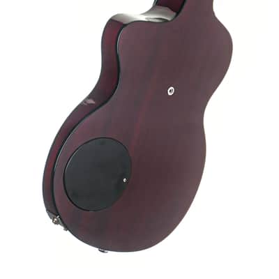 Rick Turner Model 1 Deluxe Guitar #6043 image 2