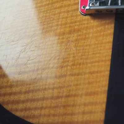 Prinz of Tone! Hohner The Prinz Mad Cat Prince Telecaster with Bookmatched Flamed Maple Top image 22