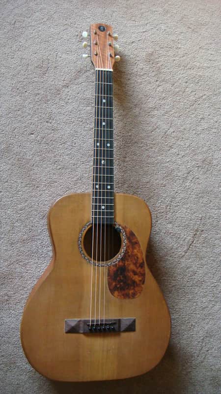Richtone L-00 size guitar - sinker cedar top, flamed mahogany sides, canarywood back image 1