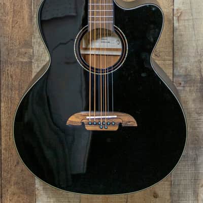 Alvarez Artist Baritone 8 String All Black FlexiCase Included image 2
