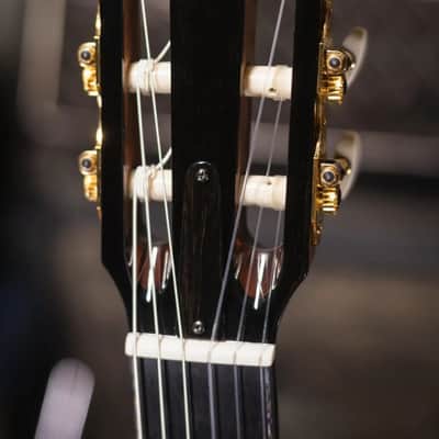 Taylor PS14ce-N Honduran Rosewood/Sinker Redwood Nylon Acoustic/Electric Guitar with Hardshell Case image 6