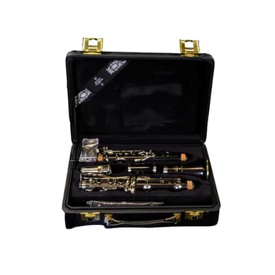 Buffet-Crampon R13 Professional Bb Clarinet - Nickel Plated Keys BC113150 image 13