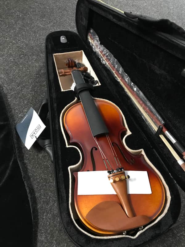 Oqan Viola 12" 2021 image 1