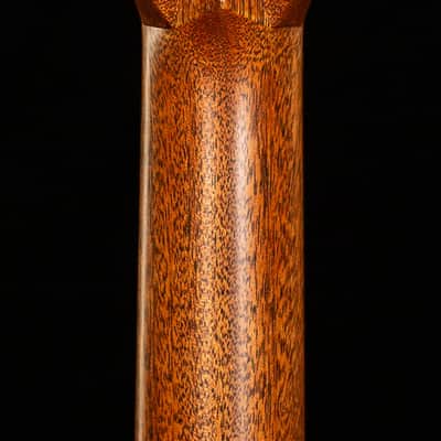 Martin Custom Shop Willcutt Exclusive Dreadnought 28 Style Wild Grain East Indian Rosewood (519) image 6
