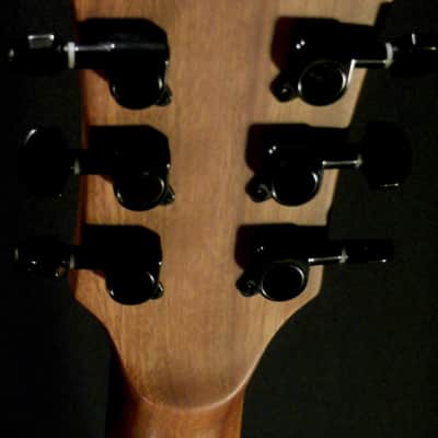 Fernandes Vertigo Deluxe image 7