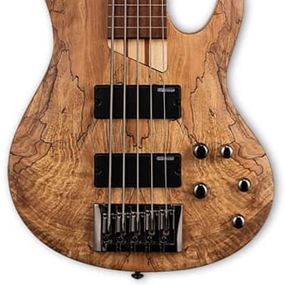 ESP LTD B-205SM 5 String Fretless Bass. Spalted Maple Natural Satin image 3