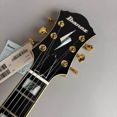 Ibanez PM200 2025 image 4