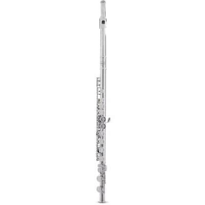 AFL-250 Intermediate Flute – Silver-Plated Offset G, C-Foot with Case (Perfect for Advancing Players) image 1