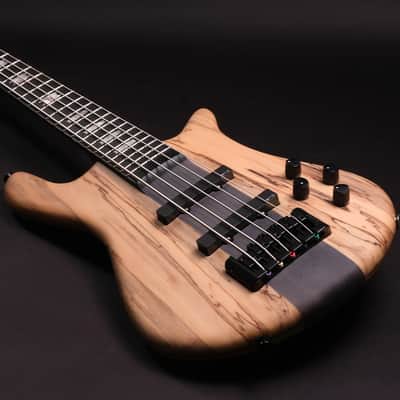 Spector CST limited Edition 2026 - Spalted Maple image 1
