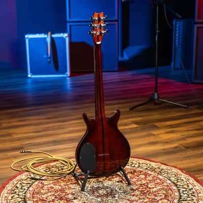 Washburn Hawk 6-String Tobacco Sunburst (B Stock) image 6