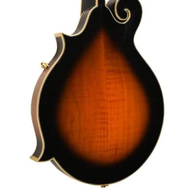 Gold Tone Mastertone™ GM-70+: F-Style Mandolin image 6