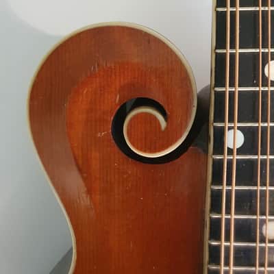 Gibson f2 1914 image 14