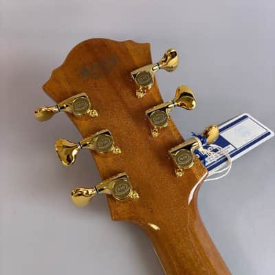 Ibanez PM200 2025 image 8