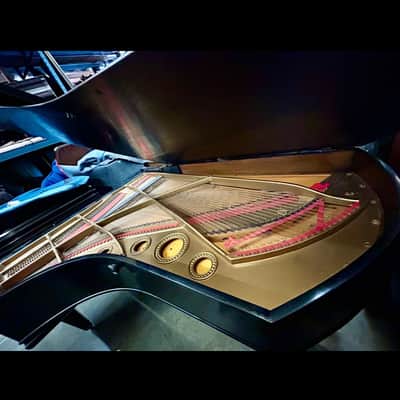 C. Bechstein 7' Grand Piano Classic Ebony Elegance image 5