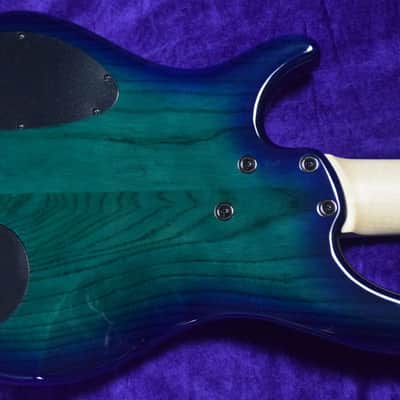 Dingwall Combustion 5 (3 Pickup), Whalepool Burst/Pau Ferro *On Order, ETA Jan. 2023 image 5