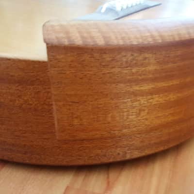 C.F. Morrison Knotty Lad  2014 Natural image 6