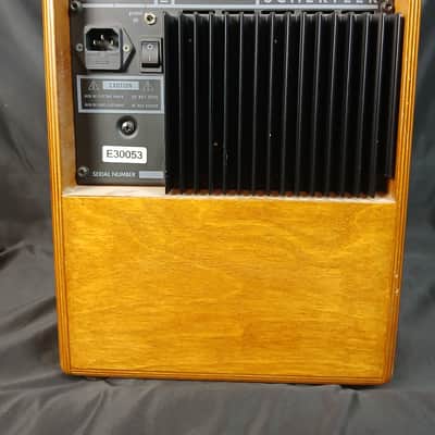 Schertler Amp JAM 100 Watt Professional Wood Acoustic Amplifier Made In Italy image 4
