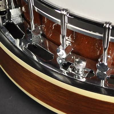 Richwood RMB-604 Tenor Banjo image 8
