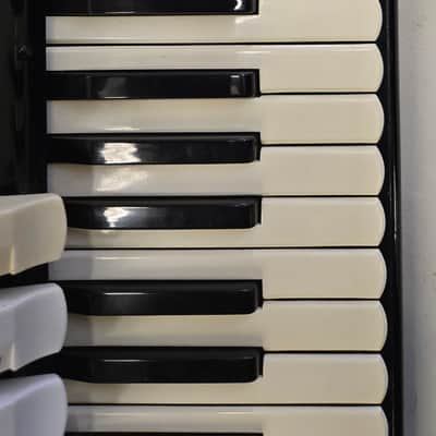 Titano Titan Piano Accordion 41/120 W/Case W/Pickup Tested image 5