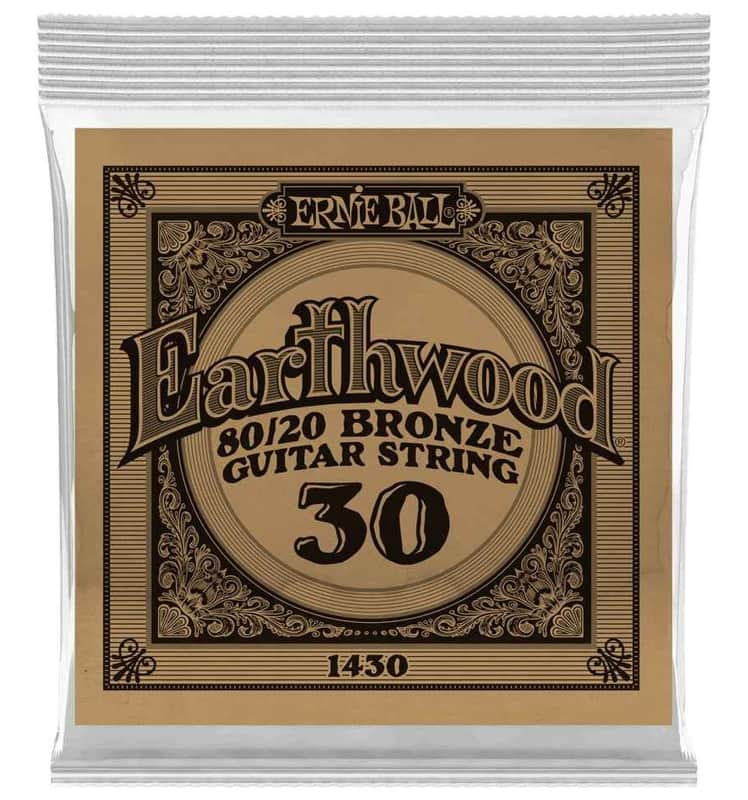 Ernie Ball P01430 .030 Earthwood 80/20 Bronze Acoustic Guitar String image 1