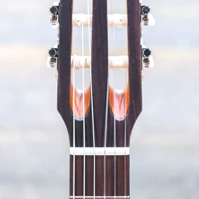 Godin Multiac Nylon Encore Spruce Natural SG Prototype "B-Stock" Electro-Classical Guitar w/Bag image 7
