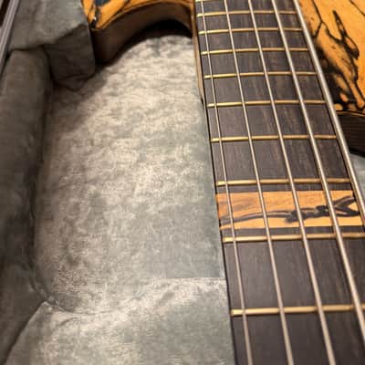 Alpher Mako Elite Prime 2024 - Natural image 2