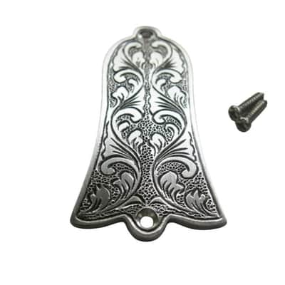 Custom Engraved Top Guitar Truss Rod Cover Plate with Screws image 1