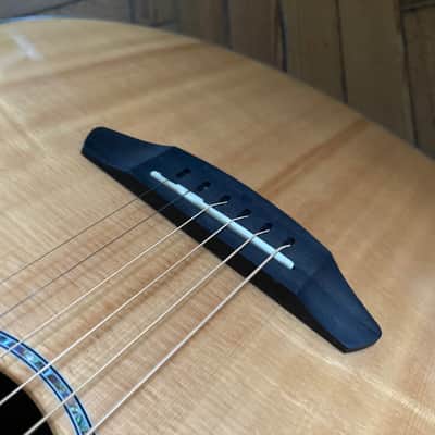 Breedlove Pursuit Exotic Concert E K Electro Acoustic Guitar + Gig Bag LR Baggs image 20