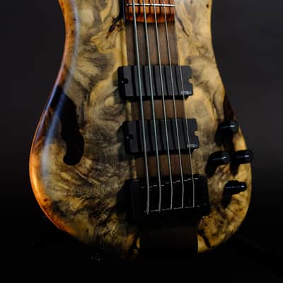 Spector (USA) NS-5 Neck-Thru 2024 - Buckeye Burl image 1