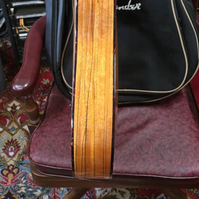Fender Victor Bailey VB-2 acoustic bass guitar image 12