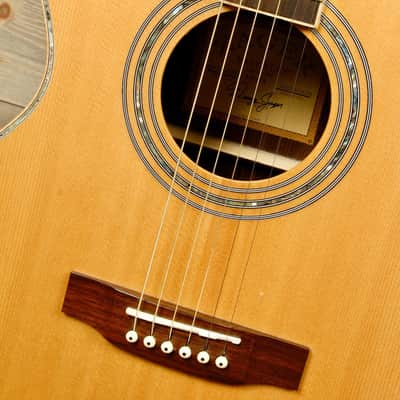 Zager ZAD900ce OM (USED) image 7