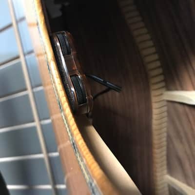 Antonio Giuliani DR16 Acoustic Guitar, 2021 (With LR Bagg Pickup) (Used) image 12