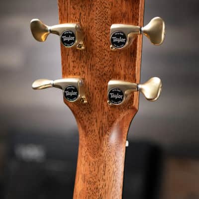 Taylor 2026 Catch Custom #13 C10e Dreadnought Acoustic/Electric Guitar with Hardshell Case image 7