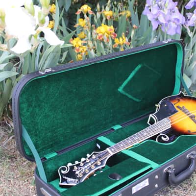 Washburn M3SWK Bluegrass F-Style Mandolin with Hardshell Case- Sunburst image 17