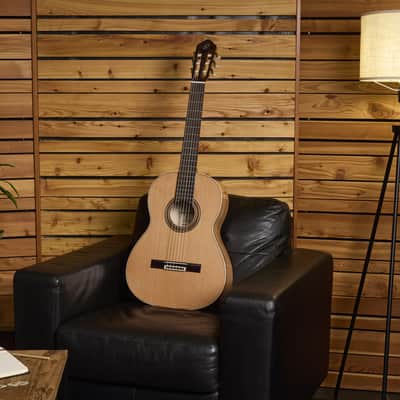 Ortega R20GSNRG Traditional Series Solid Cedar Top Mahogany Neck Nylon 6-String Classical Acoustic Guitar w/Gig Bag image 19