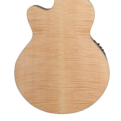 Washburn J40SCE Heritage 40 Series Jumbo Acoustic Electric Guitar image 2