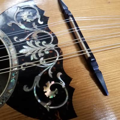 Vega Lansing Special Vintage Bowlback Mandolin c.1903-1910 image 2