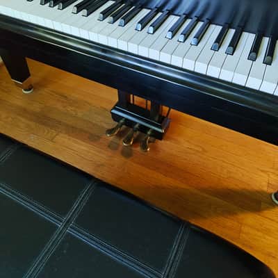 Wurlitzer C153 Mid 1980’s - Ebony image 2