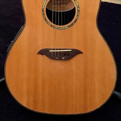 Songbird Hand Crafted Songbird Acoustic/Electric Guitar image 1