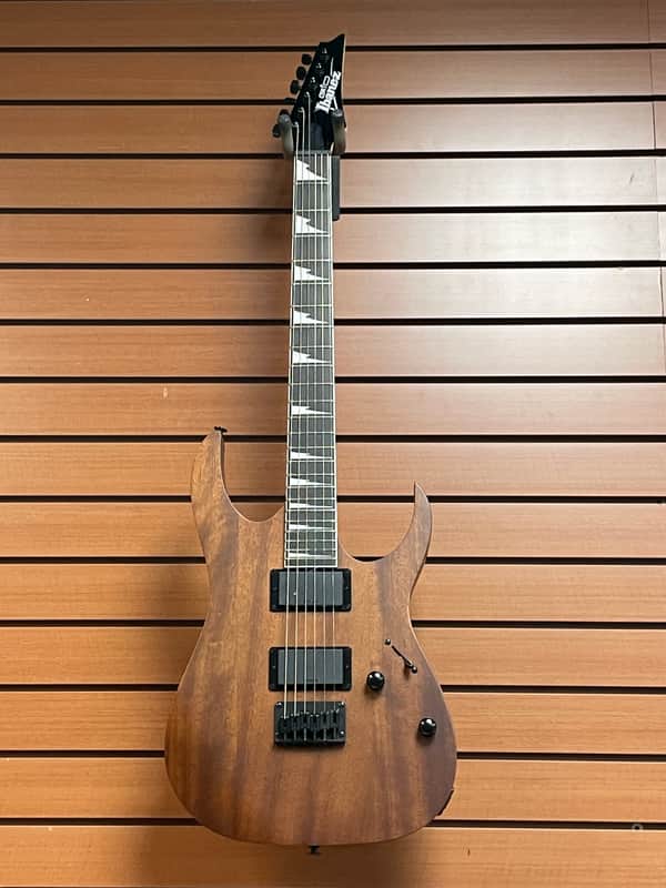 Ibanez GRG121DX-WNF Gio with Purpleheart Fretboard in Walnut Flat #4517 image 1