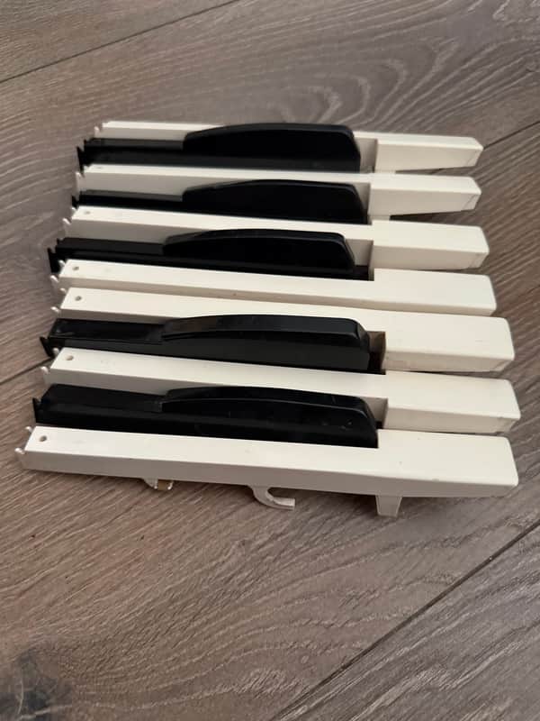 Korg moog keys Korg Moog keys image 1
