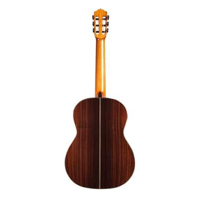 Cordoba C10 Cedar Classical Guitar image 3