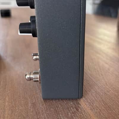 Red Panda Tensor Tape Delay 2010s - Gray image 4