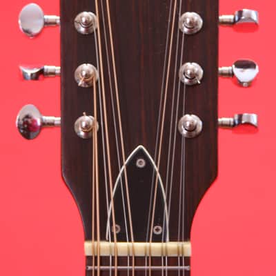 Vintage Japanese Made Gamma 12 String Acoustic Electric  Guitar image 4