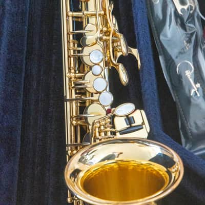 Yamaha YAS-875EX Professional Alto Saxophone *Made in Japan *E1 Silver Neck *Cleaned & Serviced image 10