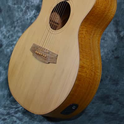 Cole Clark Angel 2 Grand Auditorium Bunya Silky Oak w/ FREE Same Day Shipping image 7